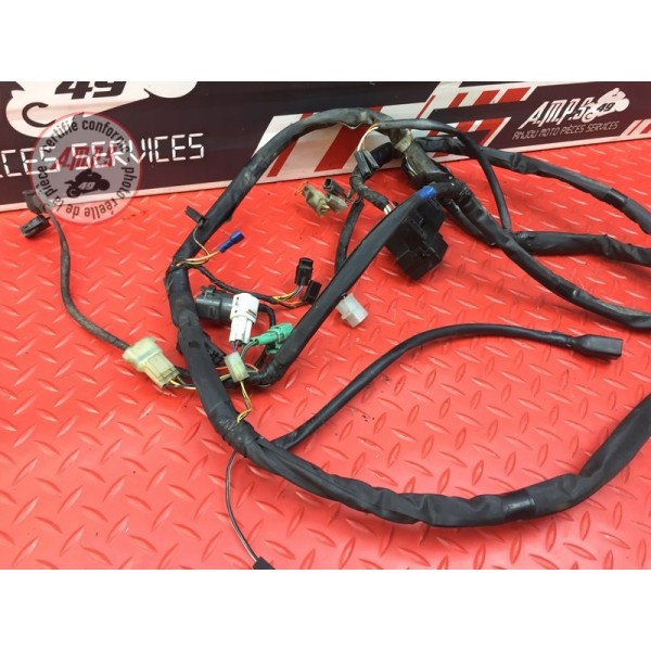 Faisceau électrique principale 