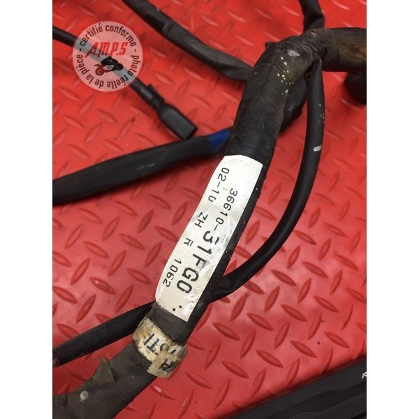 Faisceau électrique principale 