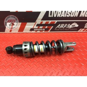 Amortisseur arrière 