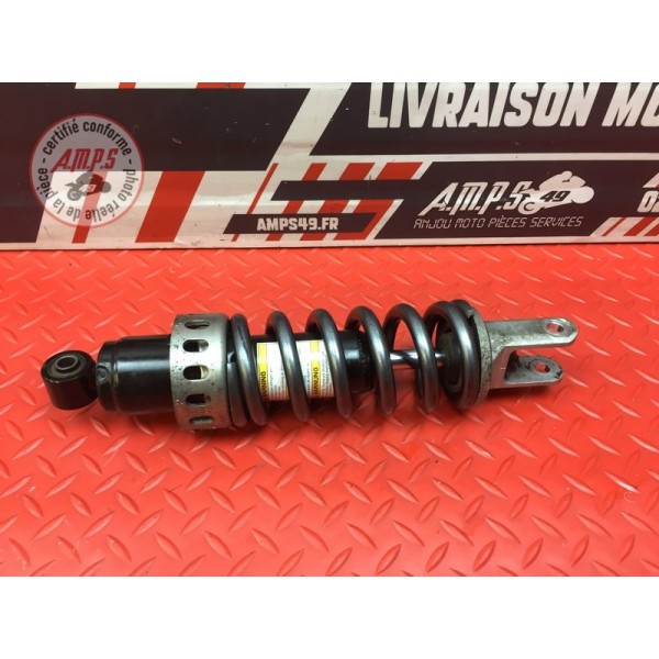 Amortisseur arrière 