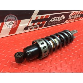 Amortisseur arrière 