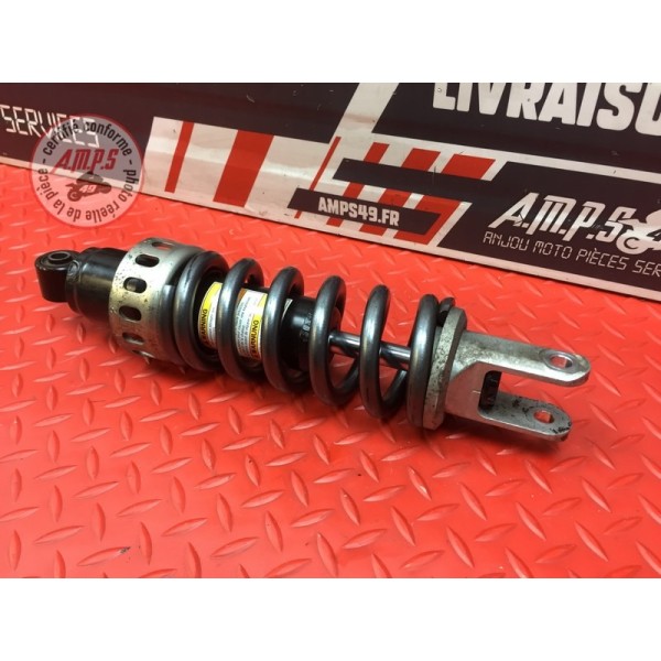 Amortisseur arrière 