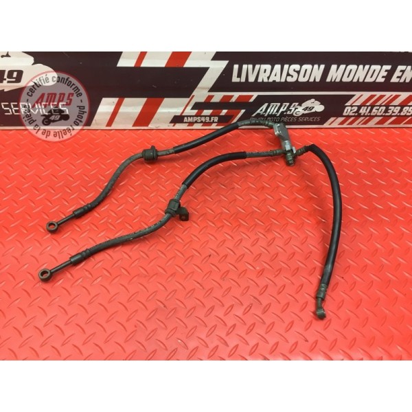 Durite de frein avant 