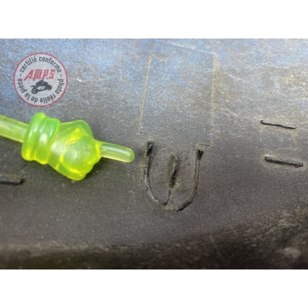 Coque arrière droite 