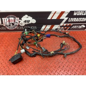 Faisceau électrique principale 