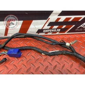 Faisceau électrique principale 