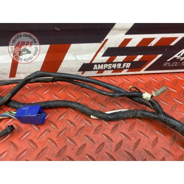 Faisceau électrique principale 