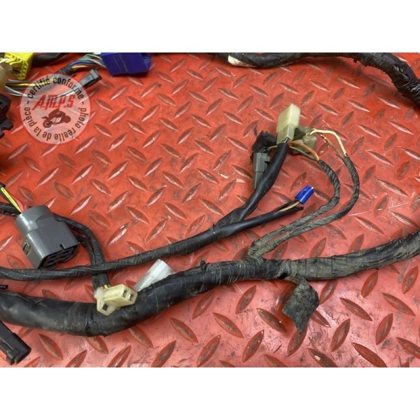 Faisceau électrique principale 