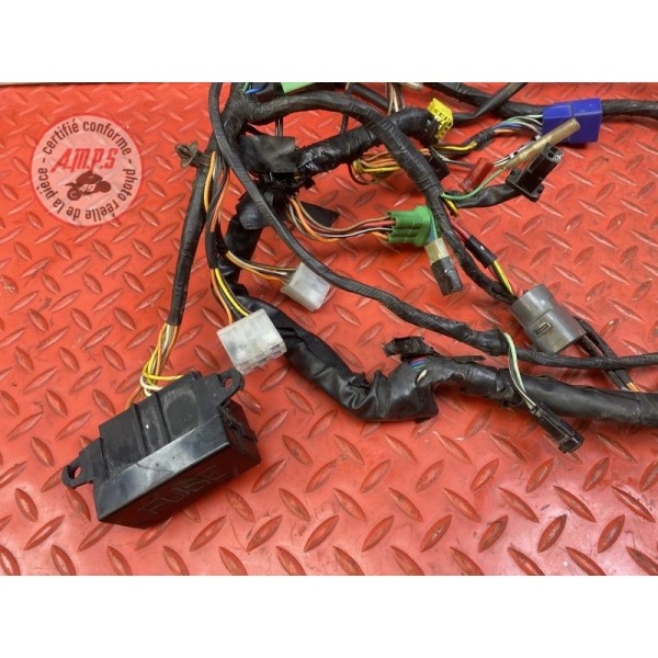 Faisceau électrique principale 