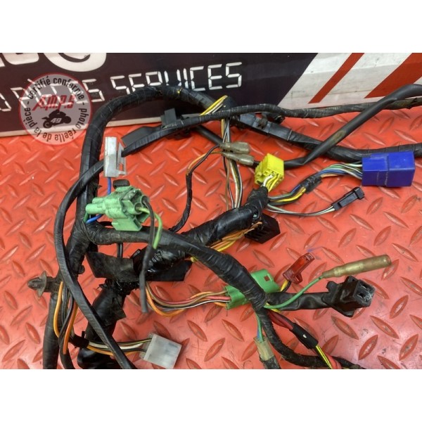 Faisceau électrique principale 