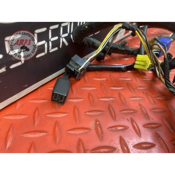 Faisceau électrique principale 