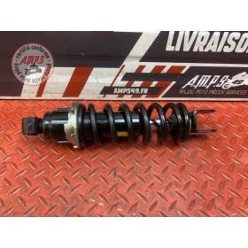 Amortisseur arrière 