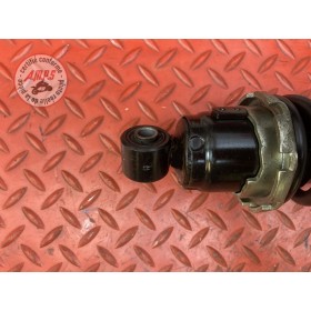 Amortisseur arrière 