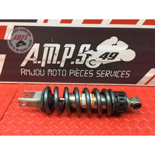 Amortisseur arrière 