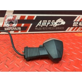 Clignotant arrière gauche