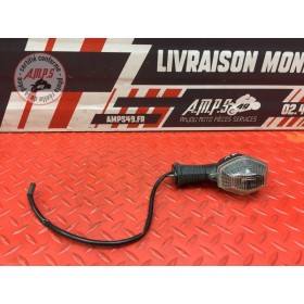 Clignotant arrière gauche