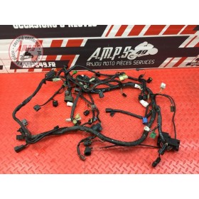 Faisceau électrique principale