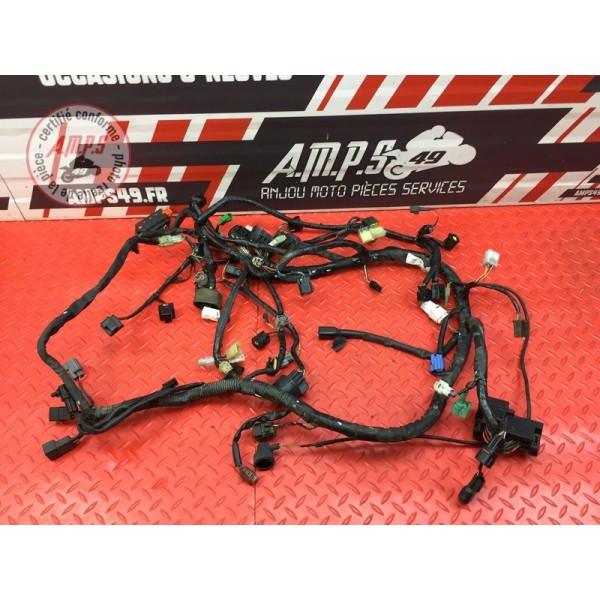 Faisceau électrique principale