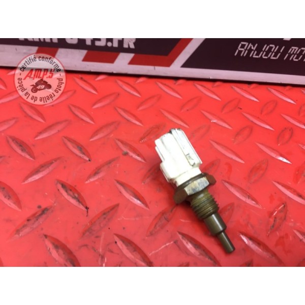 sonde de temperature d'eau 2 