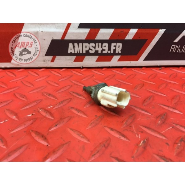 Sonde de température d'eau 