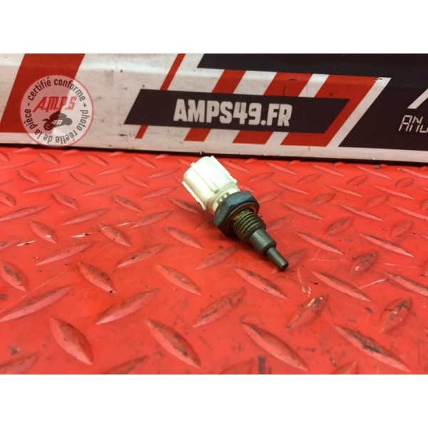 Sonde de température d'eau