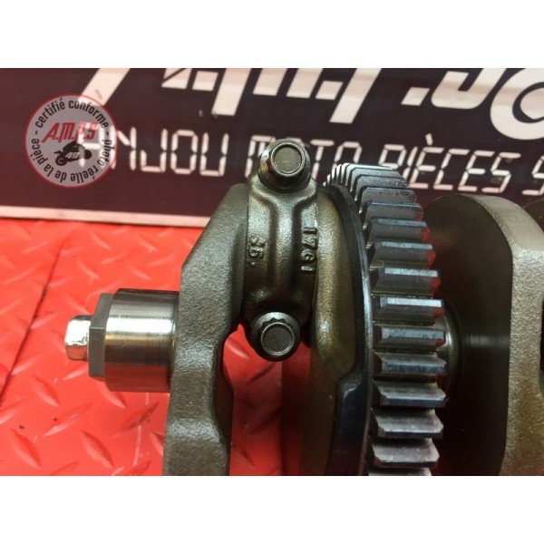 Vilebrequin avec bielles 