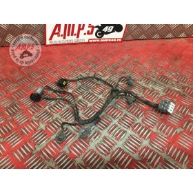 Faiscseau d'injectionZ100003AS-862-LWB3-B31033641used