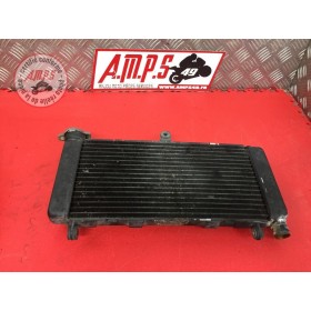 Radiateur d'eau900HORNET02CR-953-PYB9-A41036713used