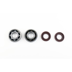CRANKSHAFT REBUILDING KIT