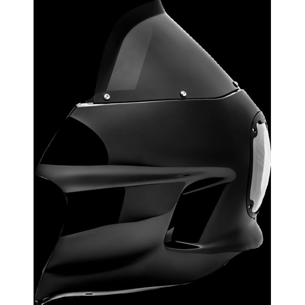 FAIRING MINI DYNA 06-17