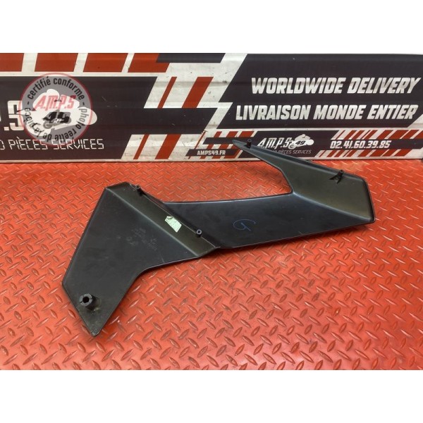 Cache sur flanc de carénage gauche 