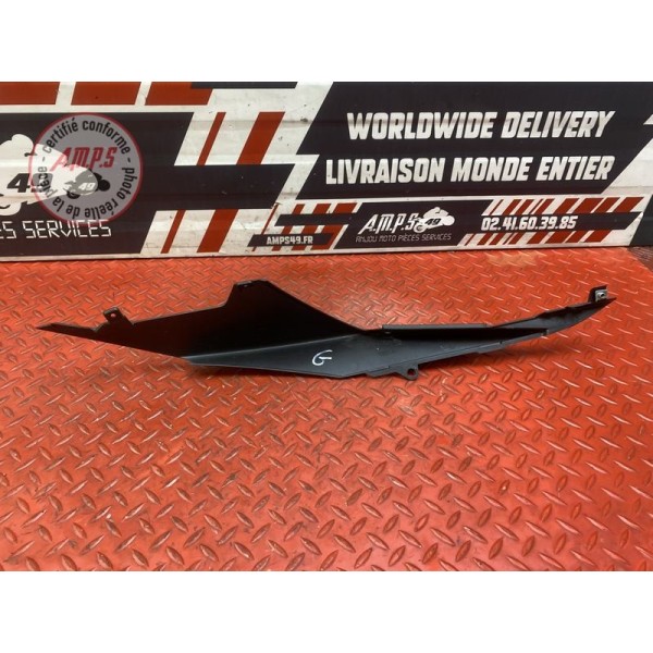 Coque arrière gauche 