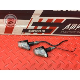 Clignotants adaptable Rizoma 