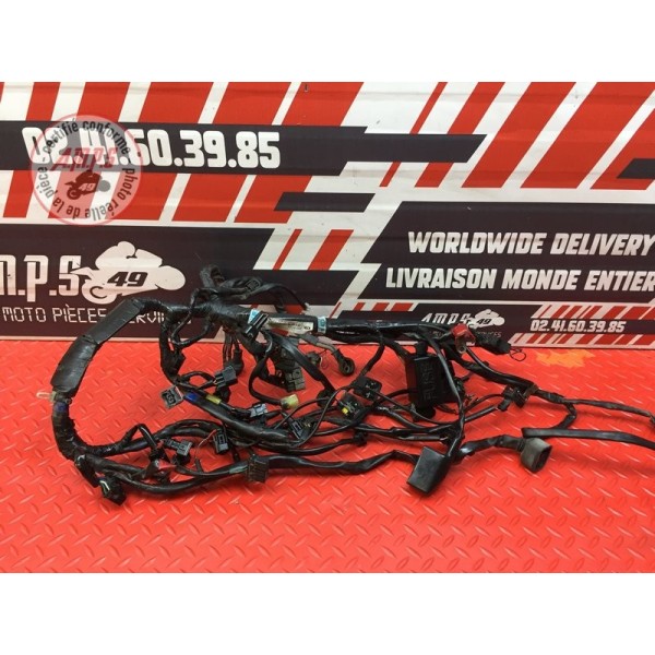 Faisceau électrique principale 