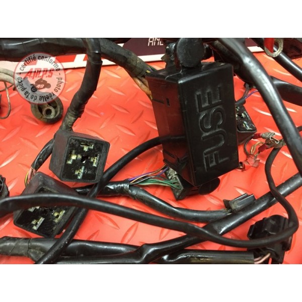 Faisceau électrique principale 