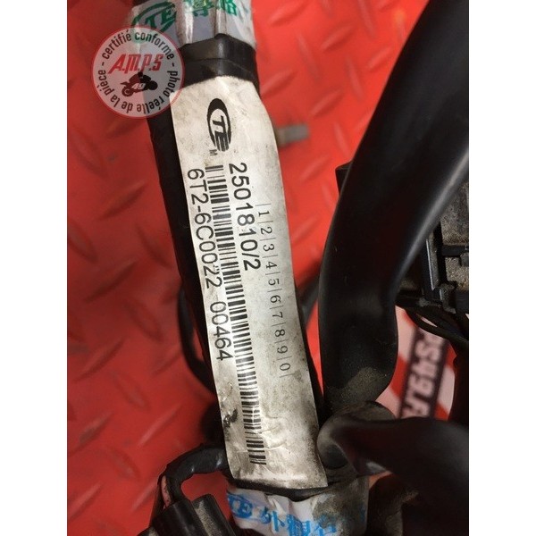 Faisceau électrique principale 