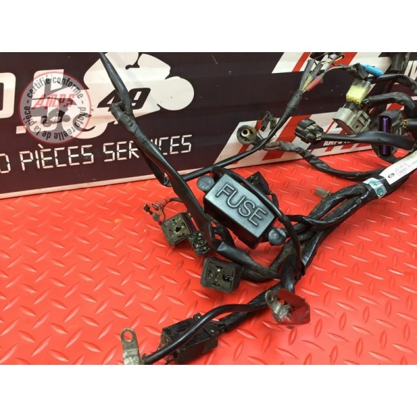 Faisceau électrique principale 