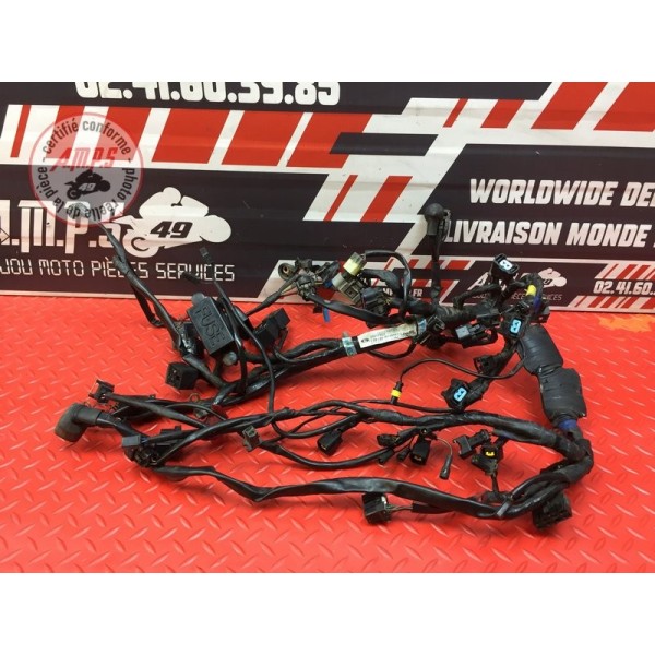 Faisceau électrique principale 