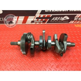 Vilebrequin avec bielles