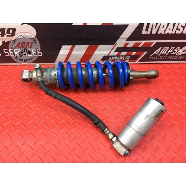 Amortisseur arrière 