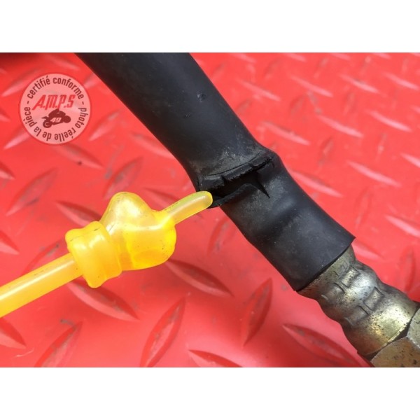 Amortisseur arrière 