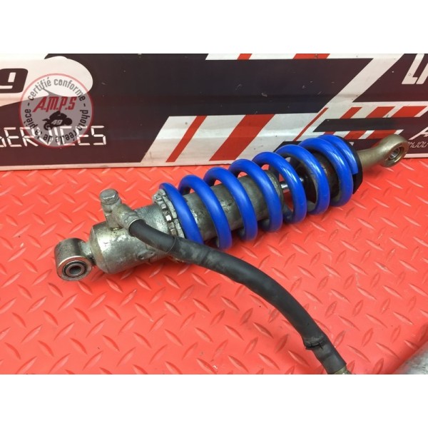 Amortisseur arrière 