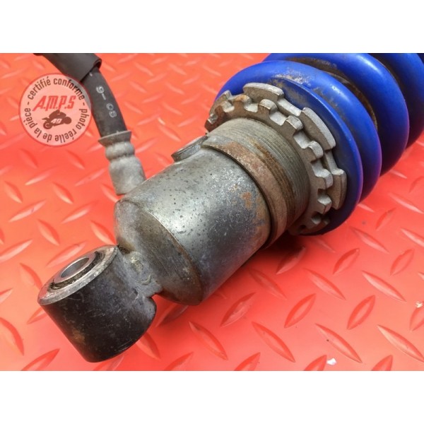 Amortisseur arrière 