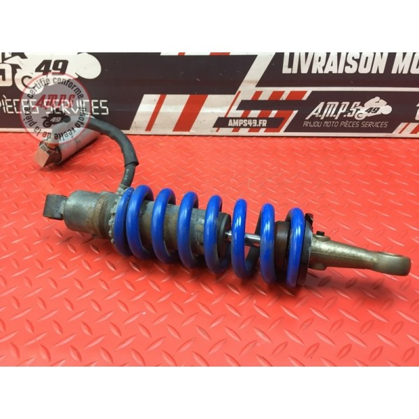 Amortisseur arrière 