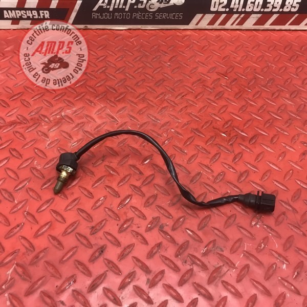 Sonde de température d'eau