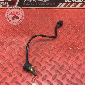 Sonde de température d'eau 