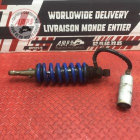 Amortisseur arrière 