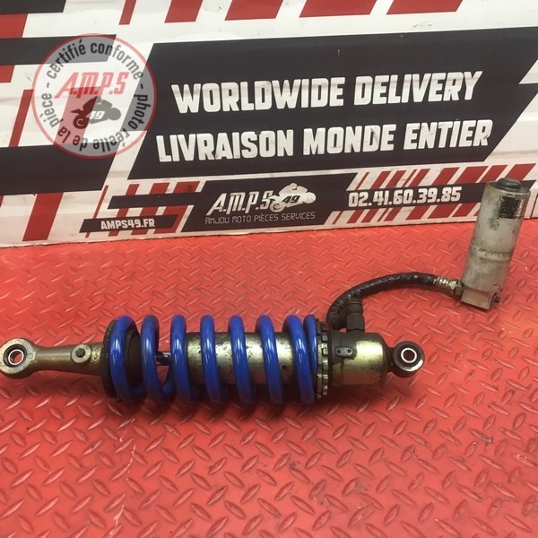 Amortisseur arrière 