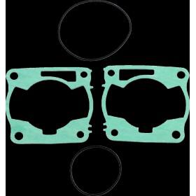 GASKET KIT RACE YAM