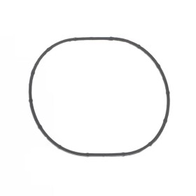 INTAKE GASKET DUC